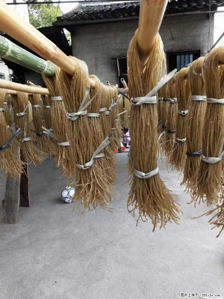 【灌阳正宗红薯粉】美女家里自己做的，干净卫生，假一赔十，价格合理，抢购电话：13737312895 - 美食天地 - 定西生活社区 - 定西28生活网 dx.28life.net