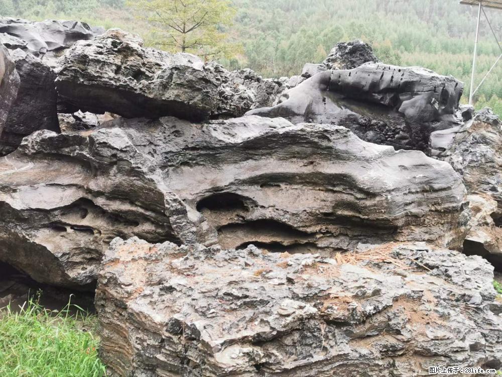风景石、假山石大量有货，有需要的欢迎联系 - 新手上路 - 定西生活社区 - 定西28生活网 dx.28life.net