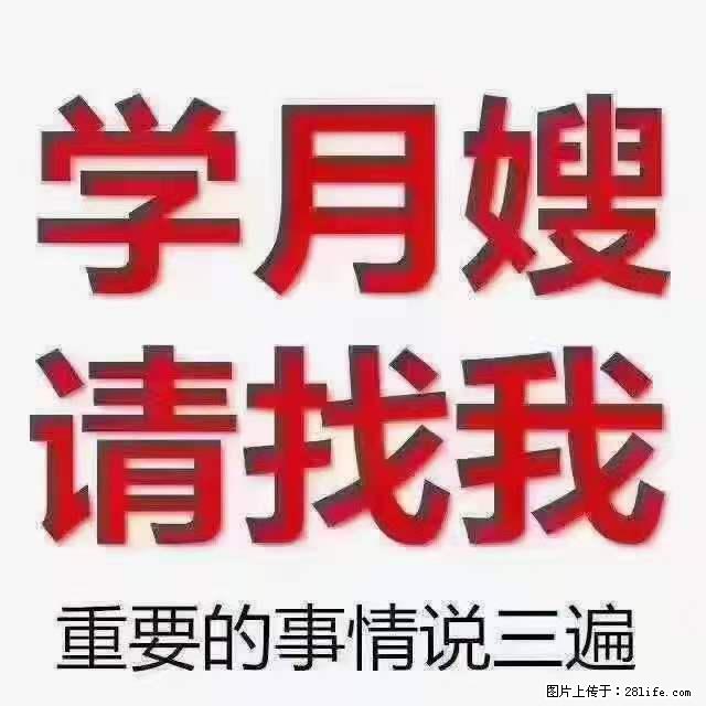 为什么要学习月嫂，育婴师？ - 新手上路 - 定西生活社区 - 定西28生活网 dx.28life.net