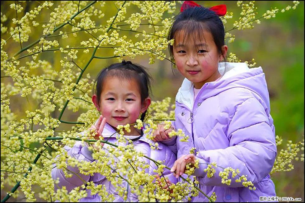 【春天，广西桂林灌阳县向您发出邀请！】米珠山前有片山苍子花在飘香 - 游山玩水 - 定西生活社区 - 定西28生活网 dx.28life.net