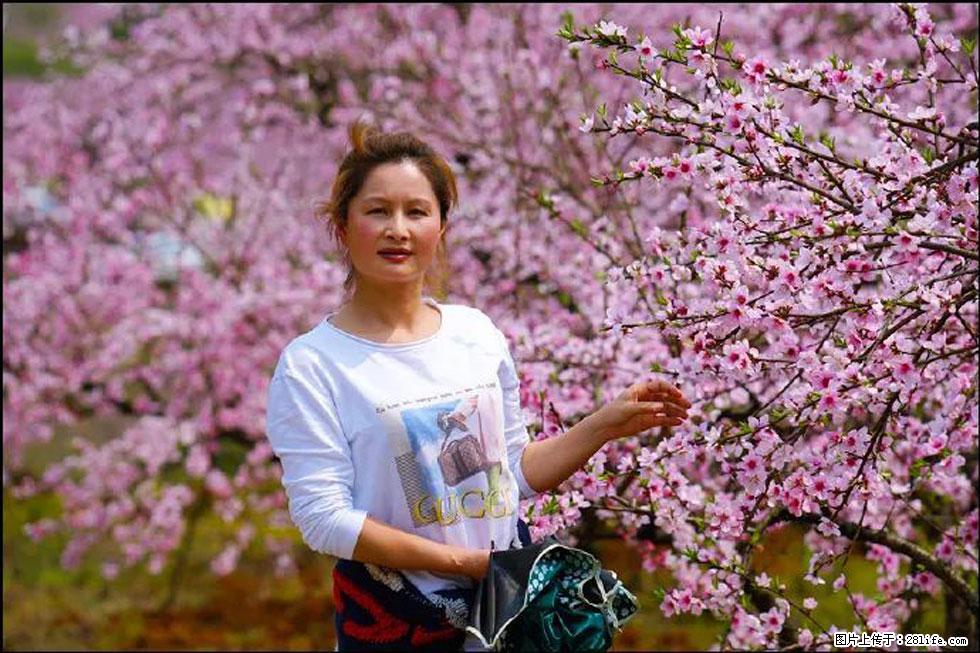 【春天，广西桂林灌阳县向您发出邀请！】官庄村有个醉美的桃花园 - 游山玩水 - 定西生活社区 - 定西28生活网 dx.28life.net