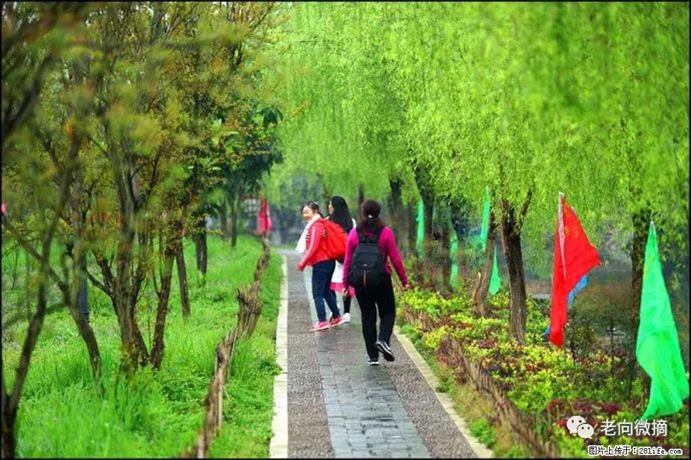【春天，广西桂林灌阳县向您发出邀请！】江口老街又逢春 - 游山玩水 - 定西生活社区 - 定西28生活网 dx.28life.net