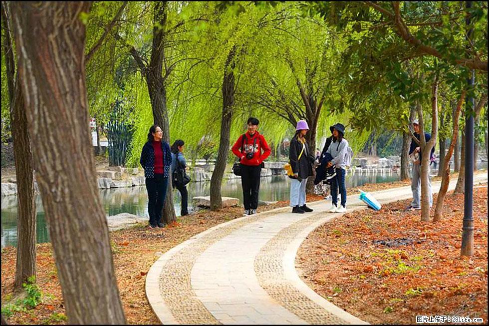 【春天，广西桂林灌阳县向您发出邀请！】江口老街又逢春 - 游山玩水 - 定西生活社区 - 定西28生活网 dx.28life.net