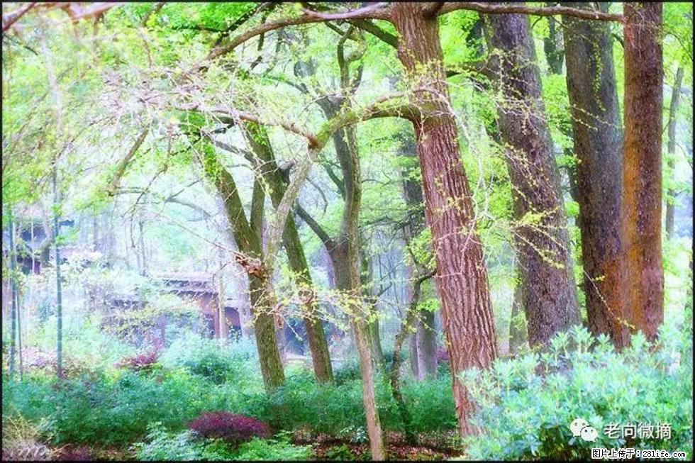 【春天，广西桂林灌阳县向您发出邀请！】在小龙村与春天约会 - 游山玩水 - 定西生活社区 - 定西28生活网 dx.28life.net