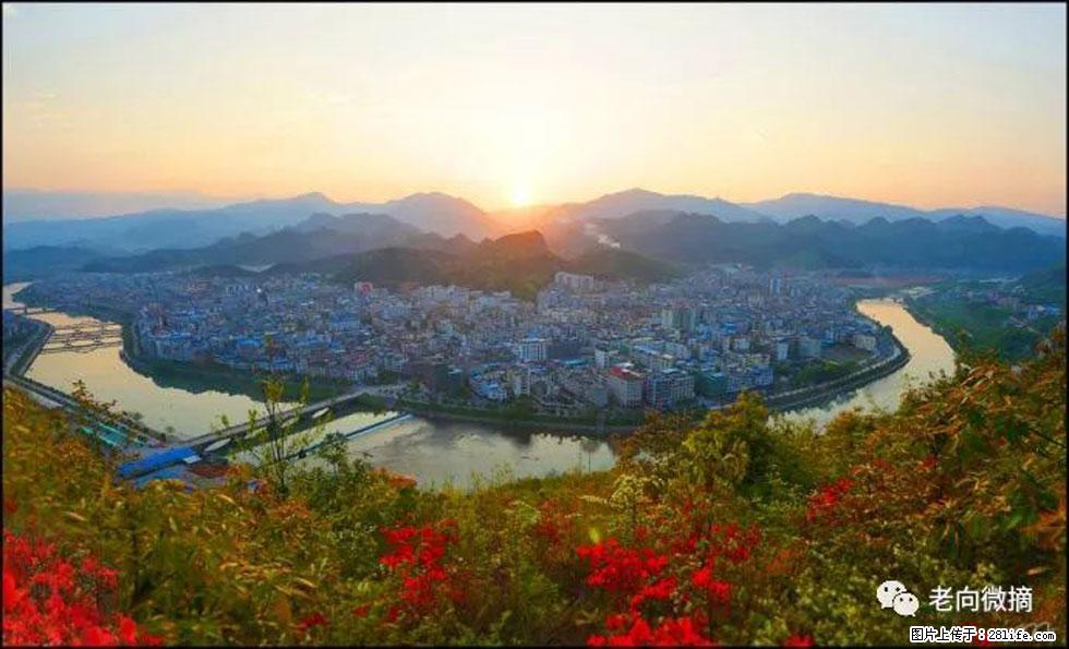 【春天，广西桂林灌阳县向您发出邀请！】登麒麟山，相约映山红 - 游山玩水 - 定西生活社区 - 定西28生活网 dx.28life.net