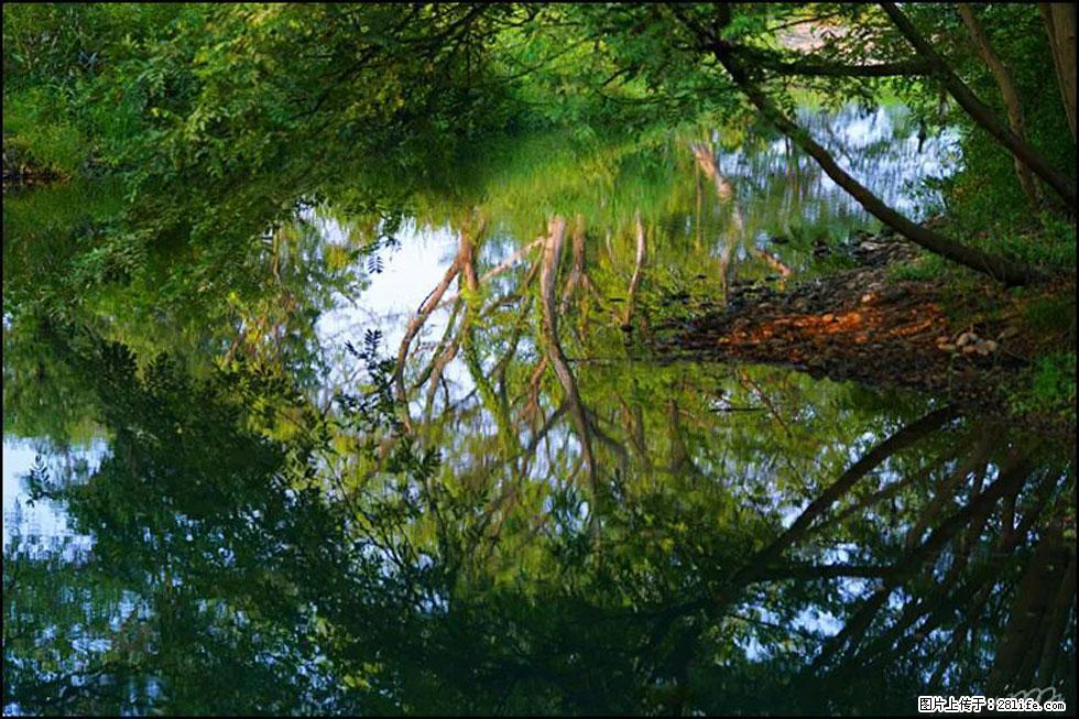 【春天，广西桂林灌阳县向您发出邀请！】熊家寨湿地公园 - 游山玩水 - 定西生活社区 - 定西28生活网 dx.28life.net