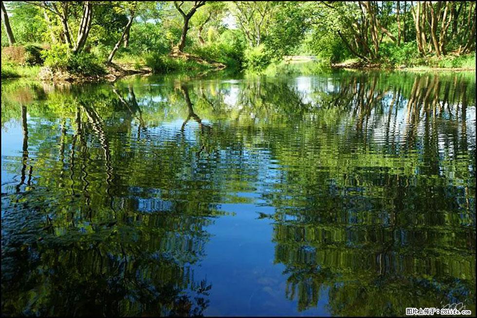 【春天，广西桂林灌阳县向您发出邀请！】熊家寨湿地公园 - 游山玩水 - 定西生活社区 - 定西28生活网 dx.28life.net