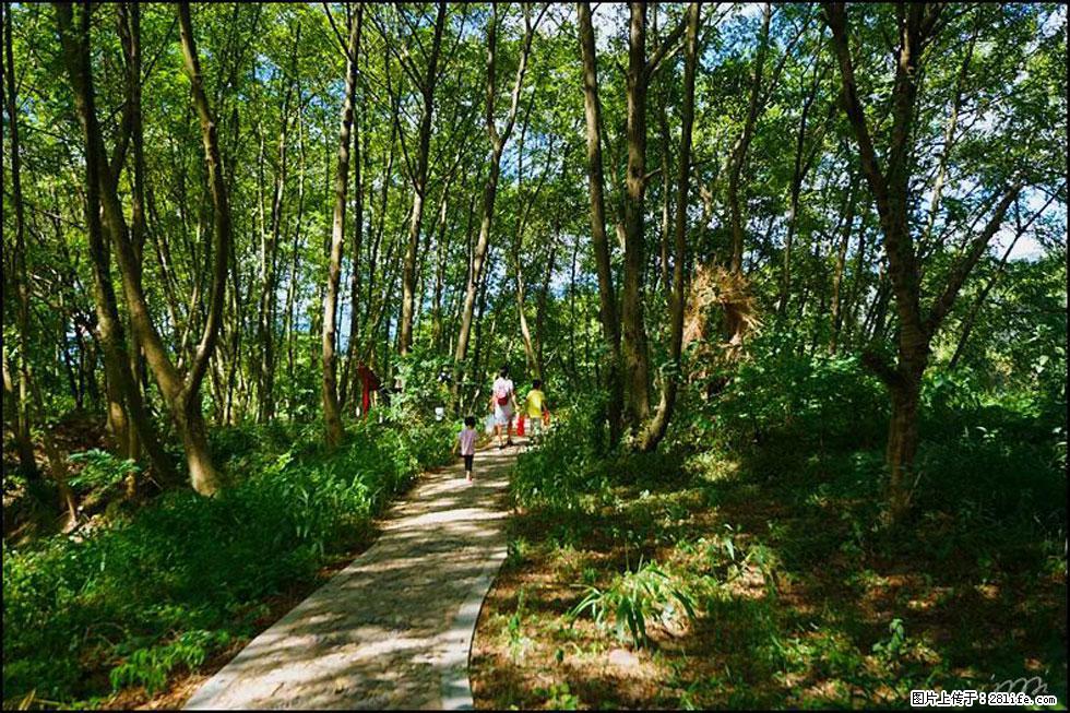 【春天，广西桂林灌阳县向您发出邀请！】熊家寨湿地公园 - 游山玩水 - 定西生活社区 - 定西28生活网 dx.28life.net