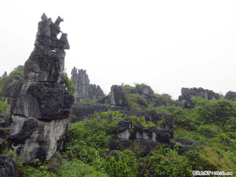 桂林旅游名城景点：灌阳文市石林 - 游山玩水 - 定西生活社区 - 定西28生活网 dx.28life.net