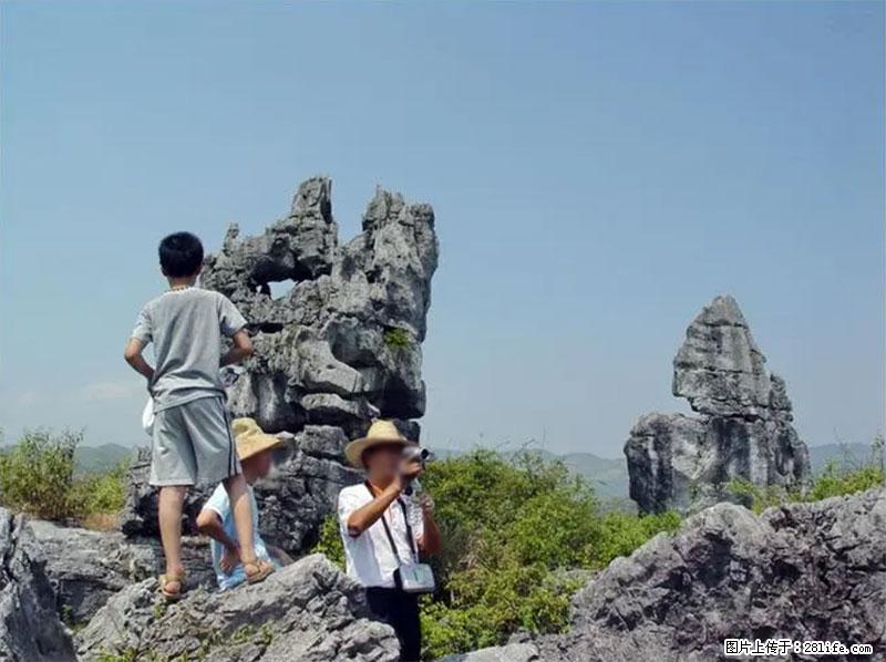 桂林旅游名城景点：灌阳文市石林 - 游山玩水 - 定西生活社区 - 定西28生活网 dx.28life.net