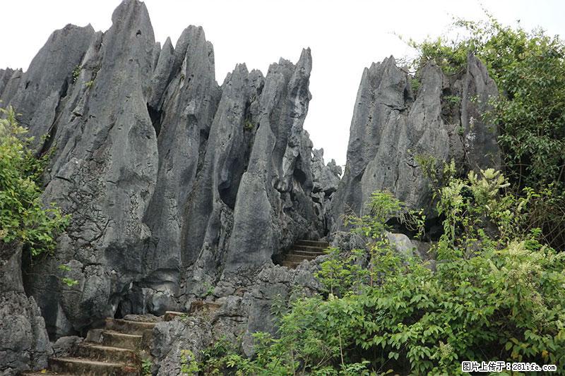 桂林旅游名城景点：灌阳文市石林 - 游山玩水 - 定西生活社区 - 定西28生活网 dx.28life.net