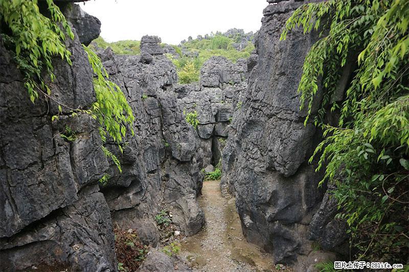桂林旅游名城景点：灌阳文市石林 - 游山玩水 - 定西生活社区 - 定西28生活网 dx.28life.net