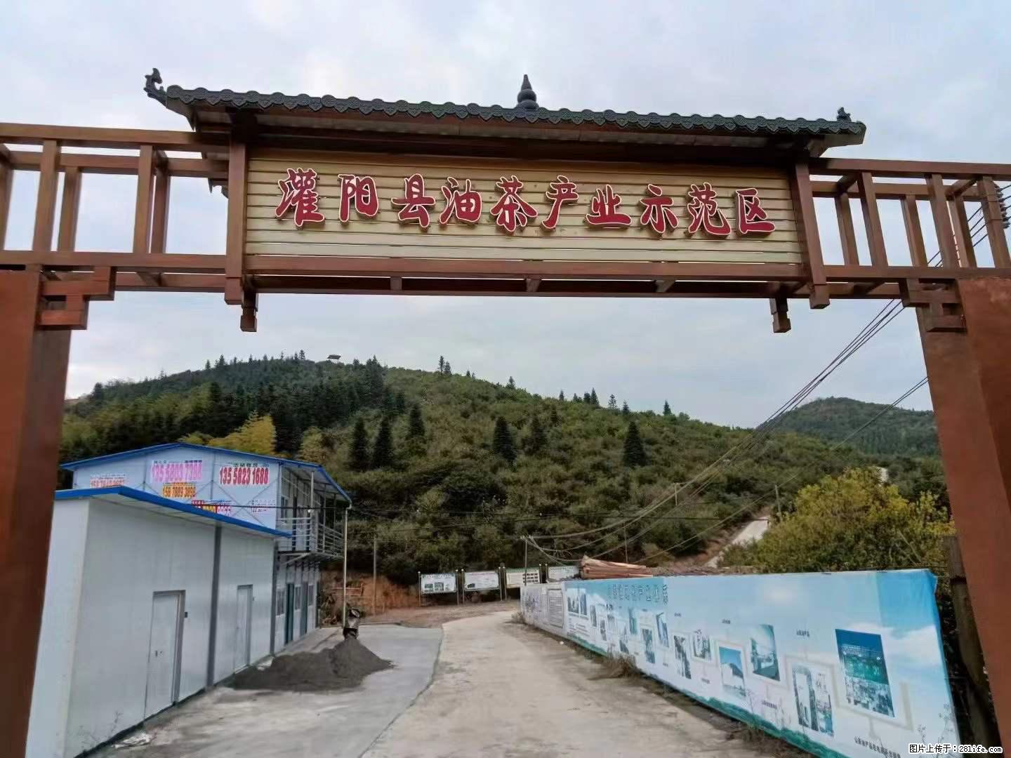 【灌阳县油茶产业示范区】一个有着充实的精神生活的人，对待身外之物自会有一种淡泊的态度 - 美食天地 - 定西生活社区 - 定西28生活网 dx.28life.net