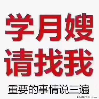 为什么要学习月嫂，育婴师？ - 定西28生活网 dx.28life.net
