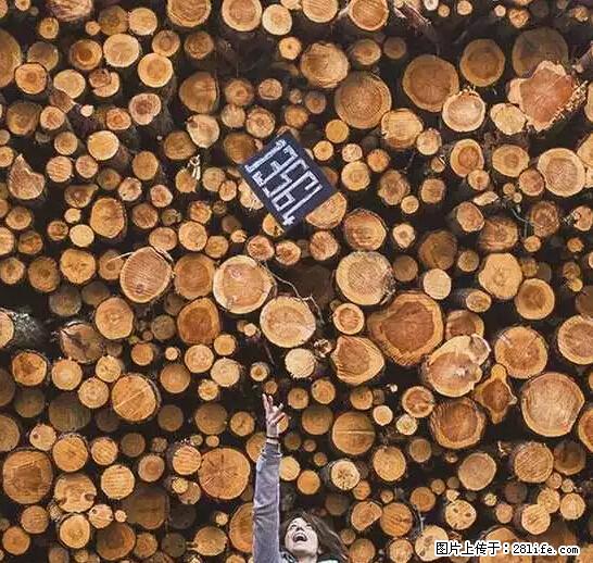 辞掉工作周游世界？现在他们在洗厕所…… - 游山玩水 - 定西生活社区 - 定西28生活网 dx.28life.net
