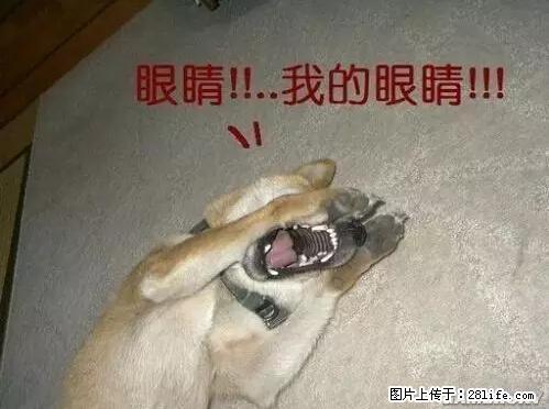 笑癫了！一女的怀孕三年未生，他终于忍不住了... - 娱乐八卦 - 定西生活社区 - 定西28生活网 dx.28life.net
