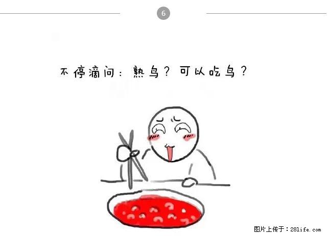 千万不要和这9种哈卵一起吃火锅！ - 美食天地 - 定西生活社区 - 定西28生活网 dx.28life.net