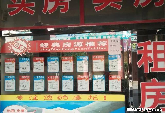 农贸市场三室二厅，精装 - 房屋出租 - 房屋租售 - 定西分类信息 - 定西28生活网 dx.28life.net