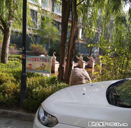 地段繁华，交通便利，中等装修，南北通透，采光 ，业主诚信交易 - 房屋出租 - 房屋租售 - 定西分类信息 - 定西28生活网 dx.28life.net