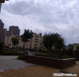 地段繁华，交通便利，家具家电齐全，离南校.实验二小，一中近。 - 定西28生活网 dx.28life.net