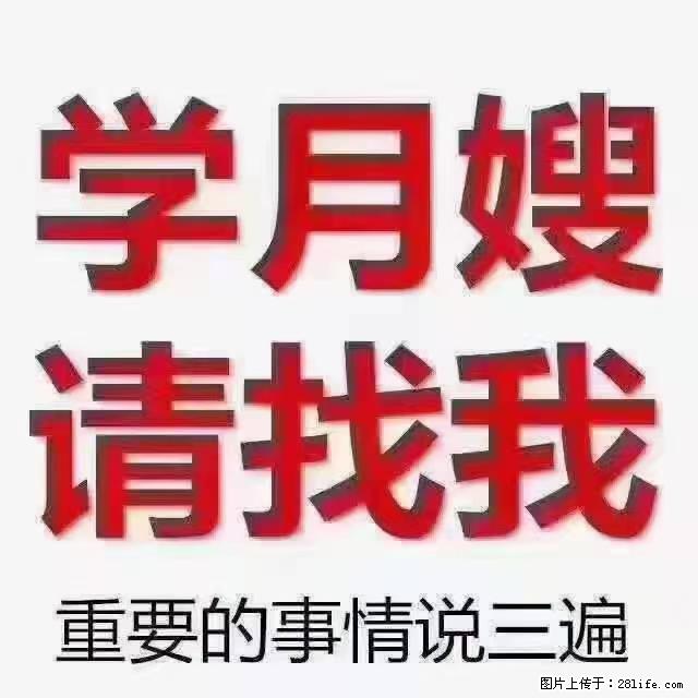 【招聘】月嫂，上海徐汇区 - 职场交流 - 定西生活社区 - 定西28生活网 dx.28life.net