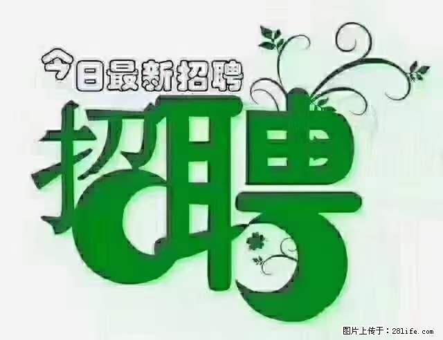 上海隔离酒店招人：55岁以下 男女不限 - 职场交流 - 定西生活社区 - 定西28生活网 dx.28life.net
