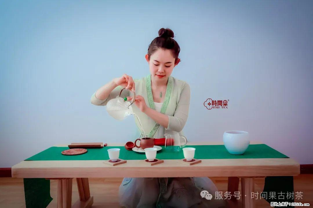 时间果百年古树龙珠普洱生茶 - 购物交流 - 定西生活社区 - 定西28生活网 dx.28life.net