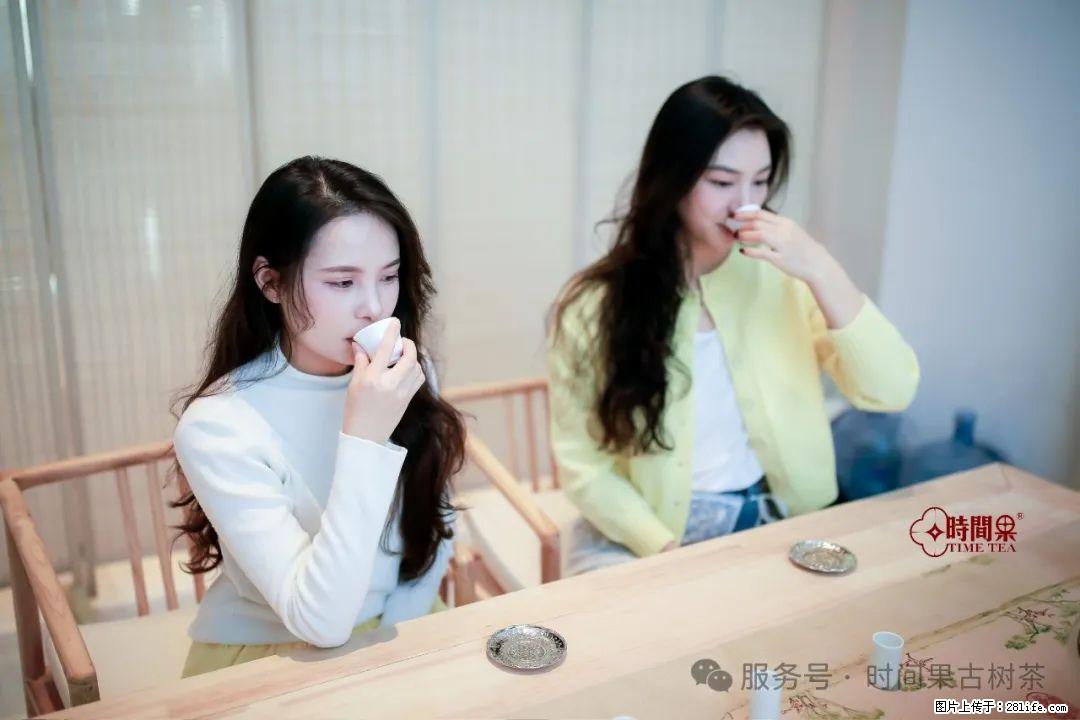时间果百年古树龙珠普洱生茶 - 购物交流 - 定西生活社区 - 定西28生活网 dx.28life.net