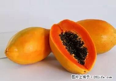 晕车、脚气、牙齿变黄、皮肤粗糙？学会这些三分钟搞定！ - 定西生活资讯 - 定西28生活网 dx.28life.net
