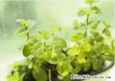 晕车、脚气、牙齿变黄、皮肤粗糙？学会这些三分钟搞定！ - 定西生活资讯 - 定西28生活网 dx.28life.net