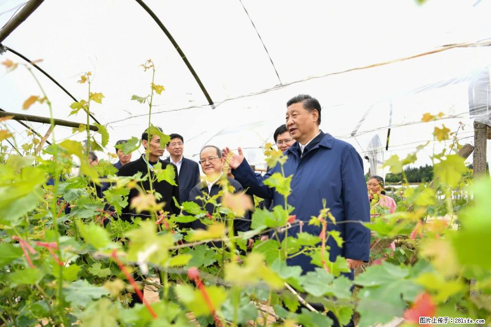 习近平赴广西考察调研 - 定西生活资讯 - 定西28生活网 dx.28life.net