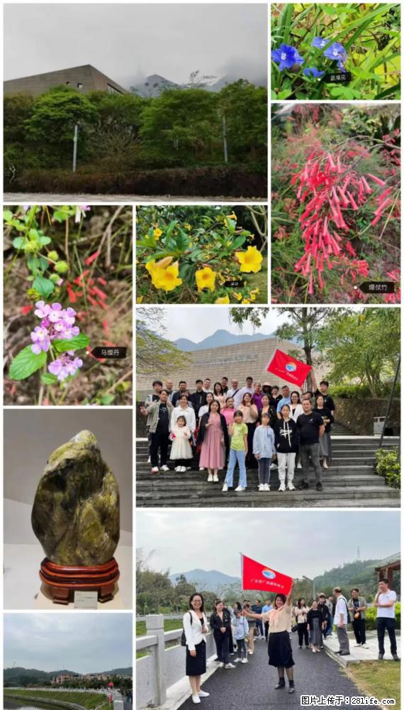 “粤灌文化 美好生活”油茶文化主题活动在广东深圳成功举办 - 定西生活资讯 - 定西28生活网 dx.28life.net