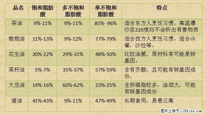 揭秘茶油的5大核心营养成分！被称为人体健康的“守护盾”！ - 定西生活资讯 - 定西28生活网 dx.28life.net