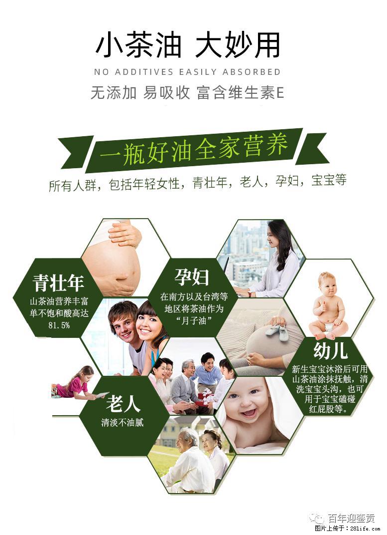 世界没有真相，只有认知，最好的食用油是中国的山茶油！ - 定西生活资讯 - 定西28生活网 dx.28life.net