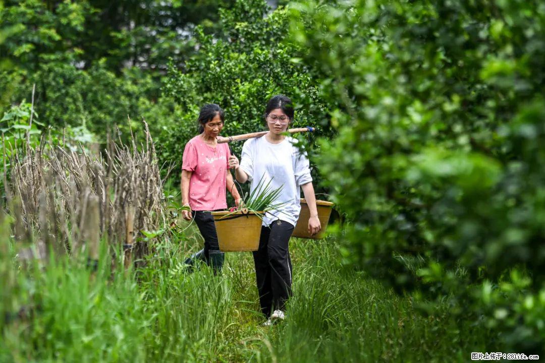 全网追的“扁担女孩”，找了一份暑假工，时薪12元 - 定西生活资讯 - 定西28生活网 dx.28life.net