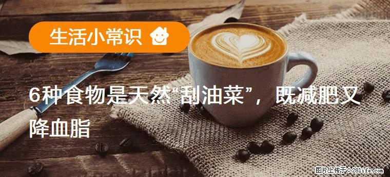 【生活小常识】6种食物是天然“刮油菜”，既减肥又降血脂 - 定西生活资讯 - 定西28生活网 dx.28life.net