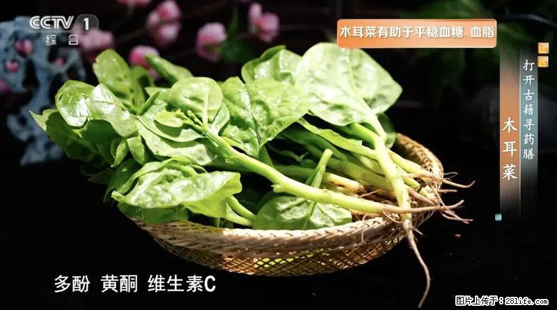 比牛奶补钙还厉害！凉血解毒、稳血糖...这菜冬天必吃，很多人却当草 - 定西生活资讯 - 定西28生活网 dx.28life.net
