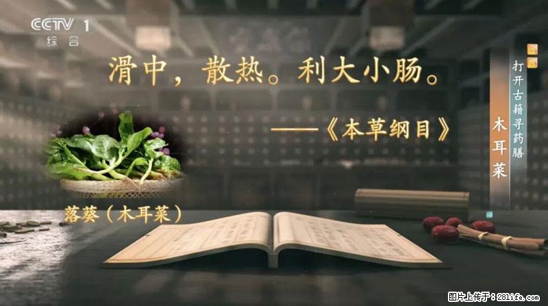 比牛奶补钙还厉害！凉血解毒、稳血糖...这菜冬天必吃，很多人却当草 - 定西生活资讯 - 定西28生活网 dx.28life.net