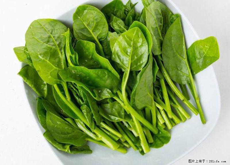 这些蔬菜是“天然钙片”，这6种被医生重点推荐 - 定西生活资讯 - 定西28生活网 dx.28life.net