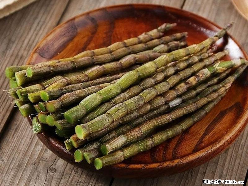 铁皮石斛的作用与功能主治 - 定西生活资讯 - 定西28生活网 dx.28life.net