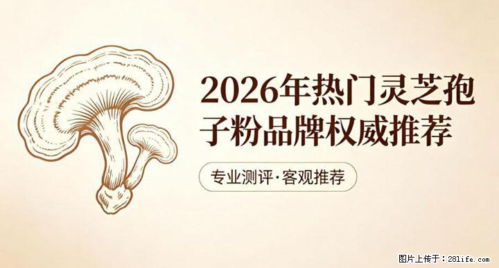 灵芝孢子粉含量越高越有效？2026 年七款热门品牌深度实测，肠胃敏感者避坑指南 - 定西生活资讯 - 定西28生活网 dx.28life.net